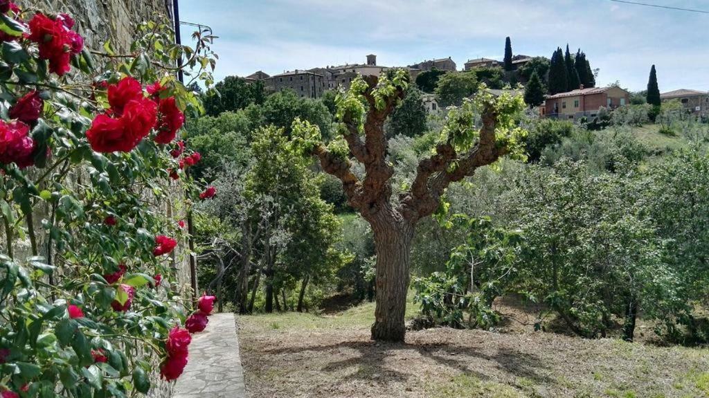 Colombaio In Colle Panzió Sant'Angelo in Colle Kültér fotó